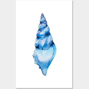 Azure seashell Posters and Art